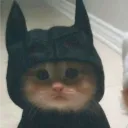 whothehell_gulli