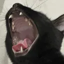 thepancake1