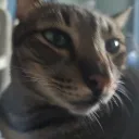 thepancake1