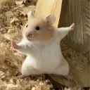 ___j