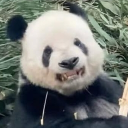 avatar StuffulOfAnxiety