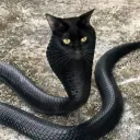 meekxprey666