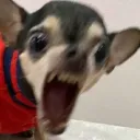 tryngle