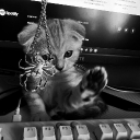 avatar 𝘼𝙣𝙤𝙞𝙧