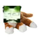 v3ct0rgraph1cs