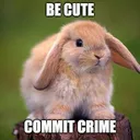 creativejackalope