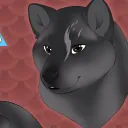 shiba_quinn