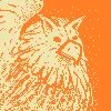sky_lyon