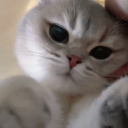 keksloki#5878's avatar