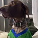 supersimplestuff