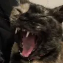 muncisx