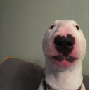 zamuel