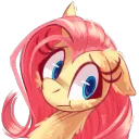 gdflutter5033