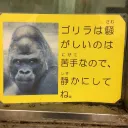 egashira3513