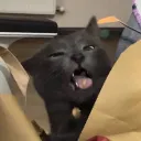 labrioche.