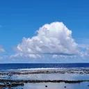 ooalice00
