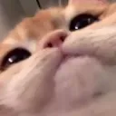 zacharycram