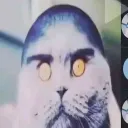 poopnuggets