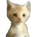 smoodie7
