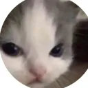 .tokunaga