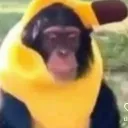 ethan121