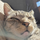 Discord Avatar