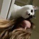 nicoletipple