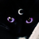 avatar 𝓙𝓮𝓼𝓾𝓼