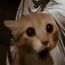fliqy