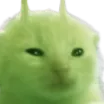 shyflyadka