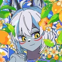 susanokiwi