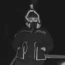 majestichobo