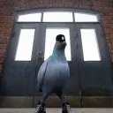 pigeonnesque