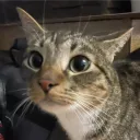 smailikas