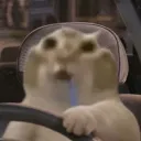 zyafo