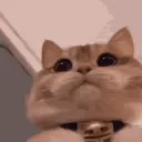 arn0ld