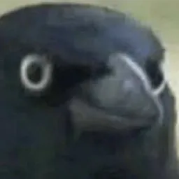 antonis danger's Avatar