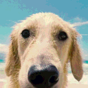 avatar ImaSpecialBoi