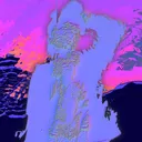 iwoogie