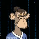 wsokka
