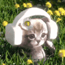 avatar YURiTARE REB0RN