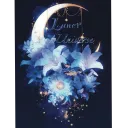 lunar_universe