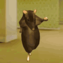 avatar ꃴꋫꀤꋊꌗꃅꆂ꒓ꍟ