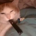 pl4net_jup1t3r