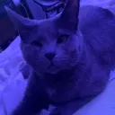 pl4net_jup1t3r