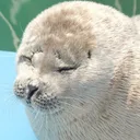 nexusloaf