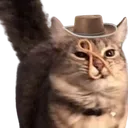 leyscha