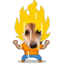 emagic