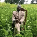 avatar Dimos si warra