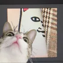 sumidaerin